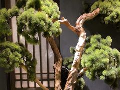 -百富源·海鲜辽菜(浑河堡店)