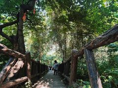 -秦岭终南山世界地质公园翠华山景区