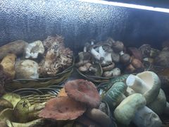 iphone_upload_pic-江川野生菌火锅铜锅鱼(贵清火锅店)