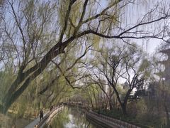 -迎泽公园