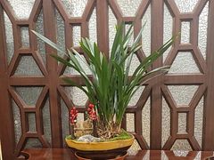 -名鲜·粤宴(黄浦滨江路店)