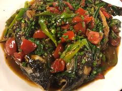 -生态苑农庄(十里画廊遇龙河店)