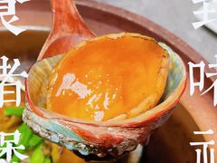 生啫鲍鱼-啫神·广州地标美食(北京路店)