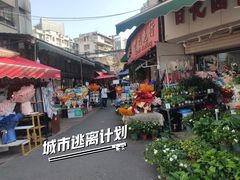 -循礼门鲜花花市(武汉循礼门店)