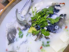 -全乐鱼馆·淳牌有机鱼直营店
