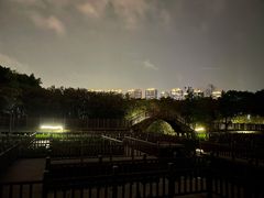 -五缘湾湿地公园
