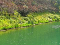 -桃花岭景区