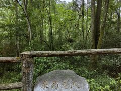 -十里画廊