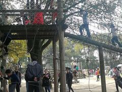 游乐设施-上海共青森林公园
