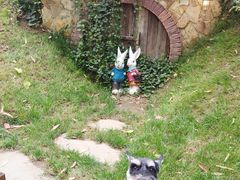 -三圣花乡旅游区