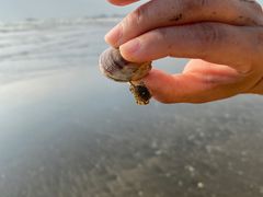 -台山黑沙湾海浴场