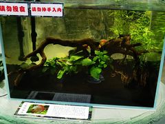 -山东省科技馆(新馆)