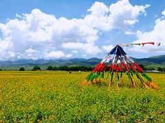 -青海湖国家重点风景名胜区