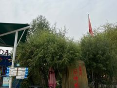 -白洋淀景区