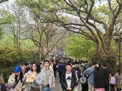 -西湖文化广场