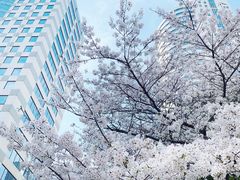 -玛格萝妮比萨屋(四平店)