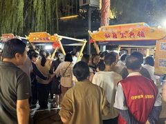 -上海市嘉定区中医医院