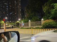 -西湖游船