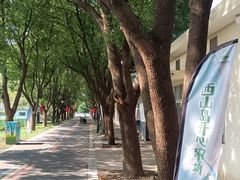 -苏州太湖西山岛开心农场