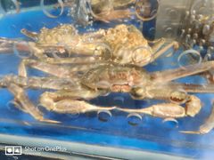-盒马鲜生(莱蒙都会店)