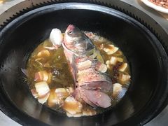 -桃源村铁锅炖鱼(体育馆道店)