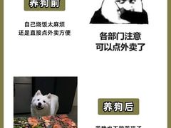 -美联众合爱康动物医院•复杂内科•肿瘤科•牙科•腔镜诊疗中心
