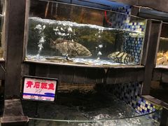-森谷美食公园(杨行店)