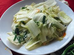 -珊瑚岛