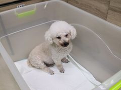 -爱侣·安琦尔宠物医院·中兽医针灸·心内科·狂犬免疫点(宝山区院)