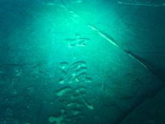 -白鹤梁水下博物馆