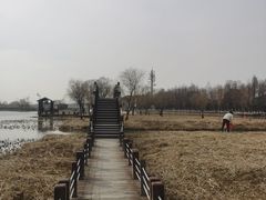 -苏州太湖湖滨国家湿地公园