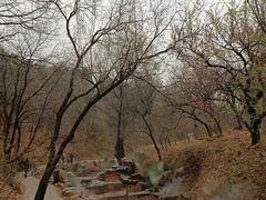 -北京西山国家森林公园