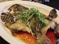 -庐灶江南·江南菜·四合院Bistro(东直门雍和宫·原华侨宾馆店)