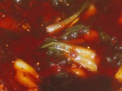 -大鸭梨烤鸭·北京菜(南小街/南苑店)