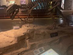 -自贡恐龙博物馆