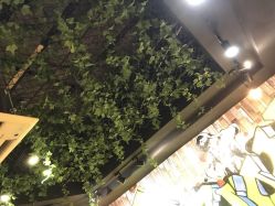点击看大图 -藤野造型·专业烫染店
