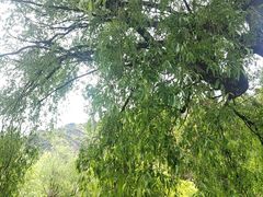 -甘堡藏寨