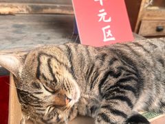 -正阳书局(西四南大街店)