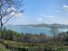 -天目湖涵田半山温泉