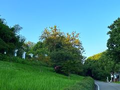 -南京市江宁方山