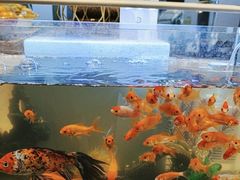 -合和大唐足道·泰式·SPA (凤城五路店)