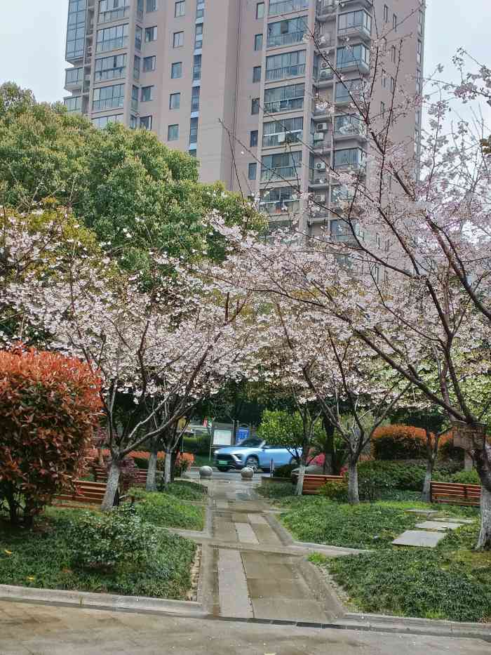 隽逸花苑-"小区的交通比较便利,现在家门口就有36路."-大众点评移动版