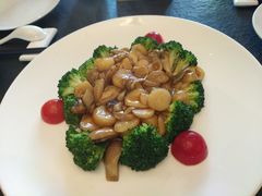 马蹄草菇兰花座-安多素食(广仁寺路店)