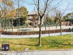 -上海野生动物园