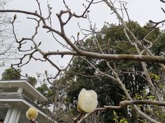 -华南国家植物园-售票处