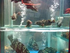 水产区-1718海鲜姿造(苏宁宴请臻选店)