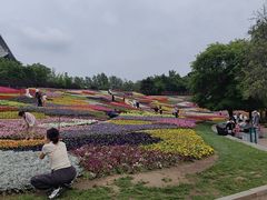-沈阳植物园