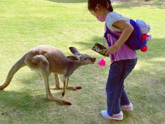 -泉州海丝野生动物世界