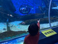 -海合安武汉极地海洋公园