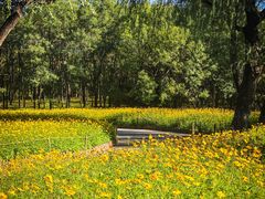 -朝阳公园游乐园